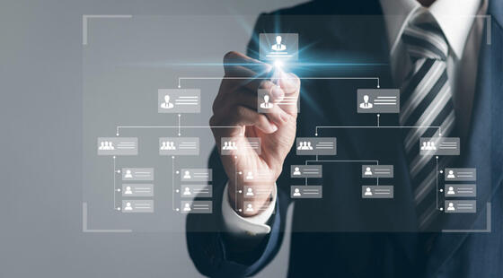 control y organización de estructuras organizativas